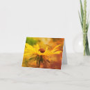 Recherche de velours photographie Floral