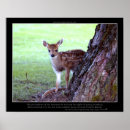 Recherche de bambi posters Semer