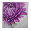 Recherche de marguerite carreaux Moderne