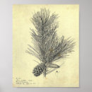 Recherche de branches posters Antique