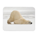 Recherche de le hudson vœux cartes Ours