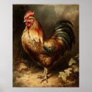 Recherche de coq vintage posters Tableau de bord