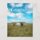 Recherche de uruguay cartes postales Amérique du sud