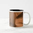 Recherche de sch tasses Roddy scheer