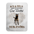 Recherche de malinois magnets Berger belge