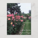 Recherche de portland oregon cartes postales Rose