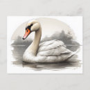 Recherche de muet cartes postales Cygne