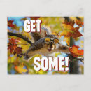 Recherche de squirrel cartes postales Humour