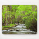 Recherche de caroline tapis souris Arbre