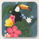 Recherche de oiseau exotique dessous de verres Toucan