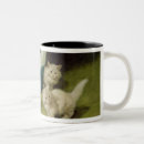 Recherche de chat persan blanc tasses Chats