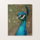 Recherche de paon bleu puzzles Vert