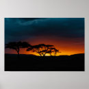 Recherche de savane africaine posters Afrique