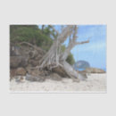 Recherche de paradis cadeau emballages Paysage
