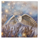 Recherche de magique carreaux Mystique