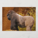 Recherche de gorille invitations Animal