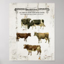 Recherche de vintage de lait posters Cru