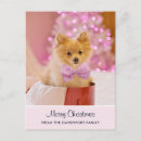 Recherche de petit chiot cartes postales Animal