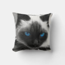 Recherche de siamois coussins Minou