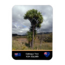 Recherche de nouvelle zelande magnets Travel