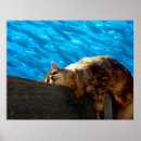 Recherche de kitty posters Amusant