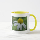 Recherche de camomille tasses Fleurs