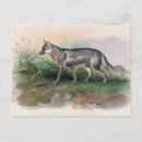 Recherche de illustration renard cartes postales Animaux