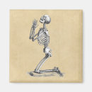 Recherche de crâne humain magnets Anatomie