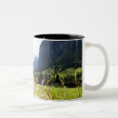 Recherche de fraîcheur tasses Dehors