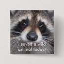 Recherche de raton laveur badges Faune