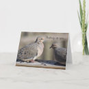 Recherche de colombe de deuil vœux cartes Nature