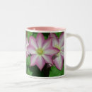 Recherche de vigne de fleur tasses Clematis