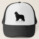 Recherche de pelucheux casquettes Chien