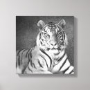 Recherche de tigre blanc art Toile