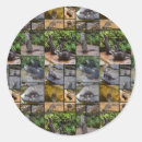 Recherche de loutre mignonne autocollants Animal