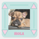 Recherche de chiot bouledogue autocollants Chiens