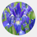 Recherche de iris bleu autocollants Jardin