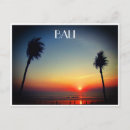 Recherche de palmier coucher soleil cartes postales Plage