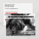Recherche de labrador retriever cartes postales Vétérinaire