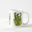 Recherche de broc tasses Botanique