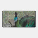 Recherche de plumes colorées tapis souris Motif