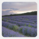 Recherche de champ agricole autocollants Agriculture