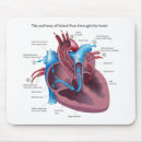 Recherche de sang tapis souris Anatomie