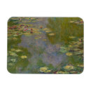 Recherche de lillies magnets Étang