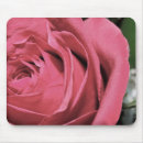 Recherche de delicate tapis souris Photographie