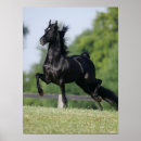 Recherche de morgan posters Race