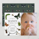 Recherche de insect birthday Papillon