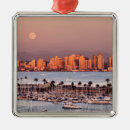 Recherche de san diego ornements Skyline