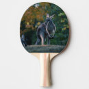 Recherche de kangourou raquettes ping pong Sortie