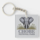 Recherche de éléphant africain porteclés Afrique